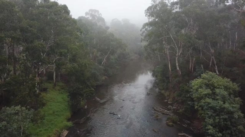 Clip 7 - Upper Yarra